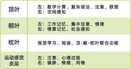 资源 5.webp